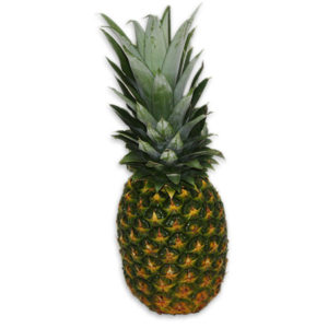 Ananas